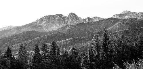 Tatra Mountains in black and white - rocky summit of Giewont