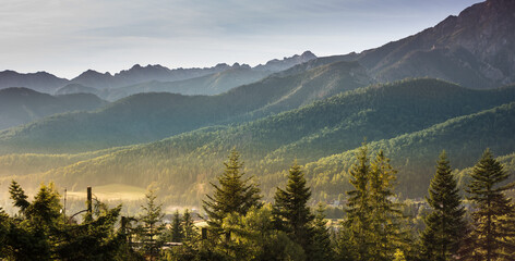 View from Koscielisko, Poland over to Tatra Mountains and green pine forest hills
