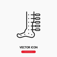acupuncture icon vector sign symbol