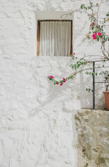 Fototapeta na wymiar Pared blanca con ventana de madera y cortinas, con flores en la parte derecha. Casa mediterránea.