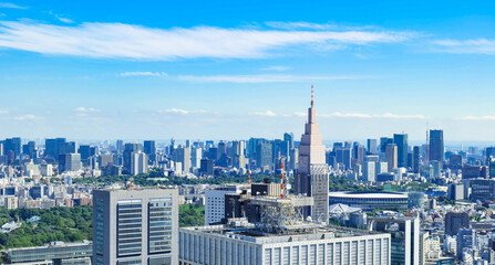 Fototapeta premium 都庁から眺める東京都心部 ワイド