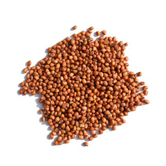 Many beans on the white background board