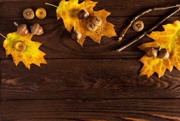 Obraz premium Fall. Colored fallen leaves, acorns on a wooden brown background, layout, copy space