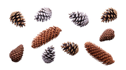 A collection of festive pine cone for Christmas tree decorations isolated against a white...