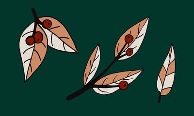 Plant branches and leaves. Hand drawn doodle illustration isolated on green background. Vector elements. Natural template for autumn design, print, greeting card, sticker pack