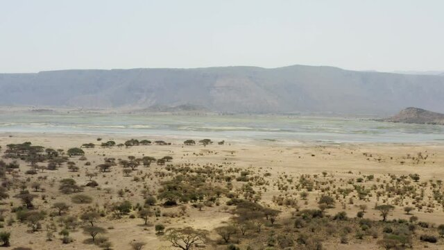 
Drone video lake in the savannah with green trees and yellow earth on a background of beautiful landscape and mountains. Aerial shot Arusha Tanzania.