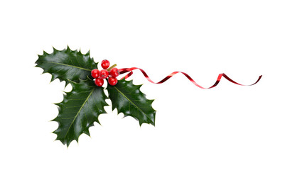 A sprig, three leaves, of green holly and red berries and red ribbon for Christmas decoration...