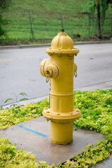 Yellow fire hydrant on a street in Miami, Florida