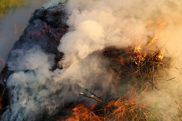 burning grass with thick smoke
