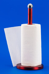 wonderful assistant in the kitchen good paper towel