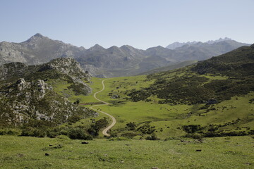 beautiful and idyllic panoramic view of the countryside and mountains in the background with a path that gets lost in the horizon. Picos de Europa, Asturias, Spain