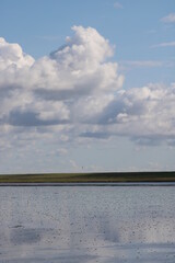 A walk in isolation through the Wadden Sea National Park in South Denmark