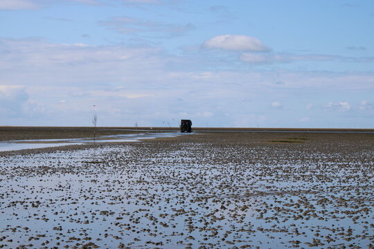 Tractor excursion to see the seals in the Danish Wadden Sea National Park on Mando island