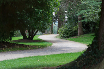 Winding gravel path through the park, vivid green, meandering walkway between the trees on estate grounds