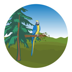 graphics design Bird Blue-and-yellow macaw standing on branches in circle