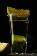 Mexican Tequila Gold in glass with lime slices and salt.