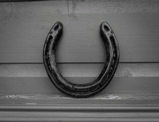 Horseshoe on a wooden board in black and white