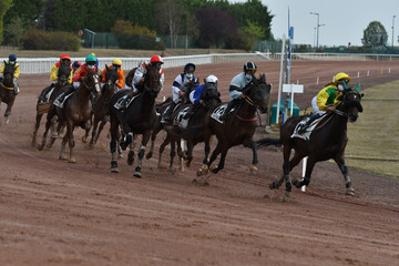 course de chevaux en trot monté