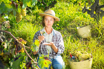 Naklejka na ściany i meble Smiling woman winegrower tasting white wine in sunny green vineyard during harvest