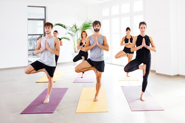 Group of people in Tree Pose practicing yoga
