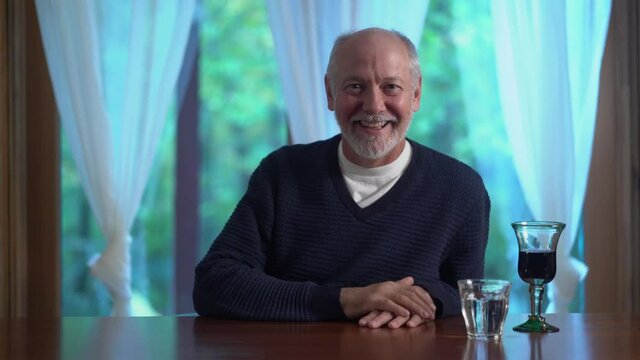 Smiling mature adult man vlogger look at camera talk make live video conference call online chat using computer app recording blog vlog sit on sofa at home, close up webcam view, videochat concept.