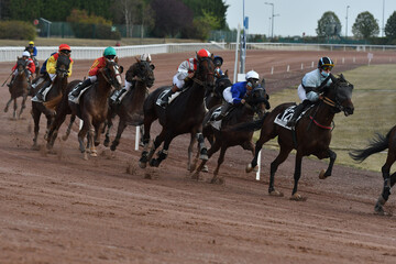 course de chevaux en trot monté