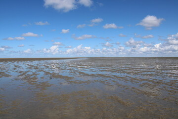 The wadden sea around Mando island in South Denmark 