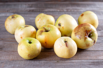 Closeup of group of organic apples with imperfections -deformed shape, surface blemishes,slight...
