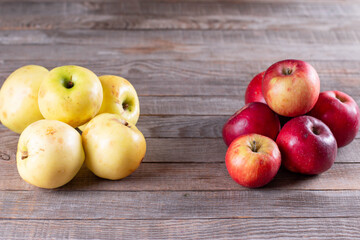 Selective focus of Imperfect looking organic, apples with unconventionally raised method, no genetically modified organism techniques