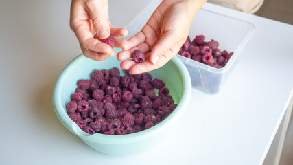 sort the red raspberries by hand