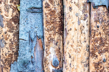 Old colorful boards slab texture close up