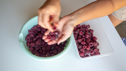 sort the red raspberries by hand