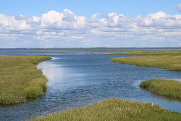 The beautiful Wadden Sea between the Danish mainland and Mandø island. 