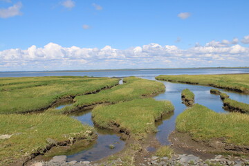 Fototapeta na wymiar The beautiful Wadden Sea between the Danish mainland and Mandø island. 