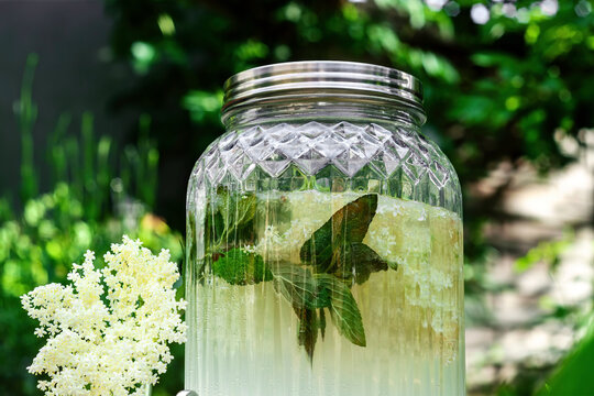 Elderflower cordial mint lemonade jug in the garden	
