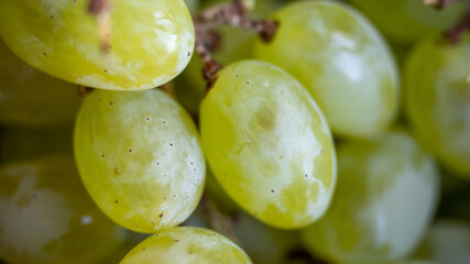a bunch of green grapes
  close-up