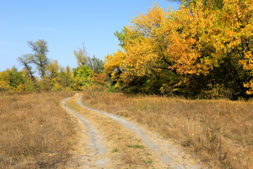 Rut road on aurtumn meadow