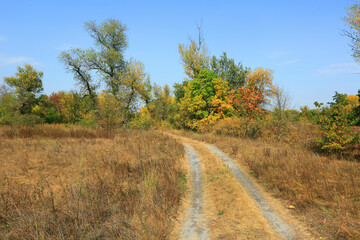 Fototapeta premium rut road in autumn forest
