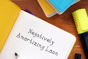 Financial concept meaning Negatively Amortizing Loan with sign on the page.