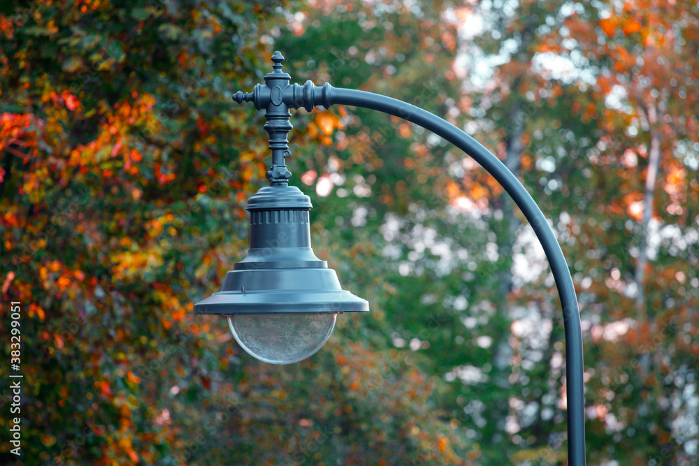 Canvas Prints street lamp on a background of autumn leaves