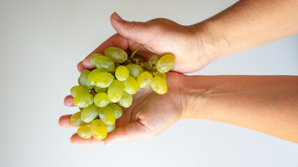 green grapes in female hands