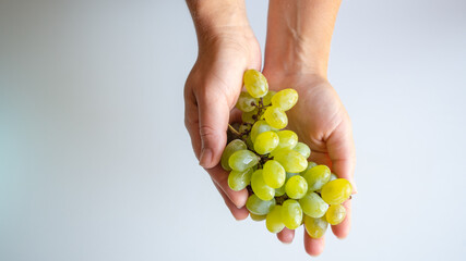 green grapes in female hands