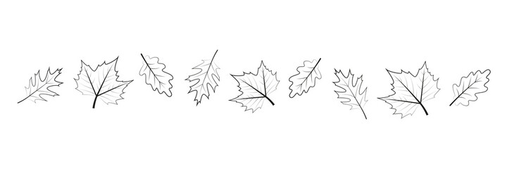 Obraz premium set of autumn leaves outline on white background vector illustration EPS10