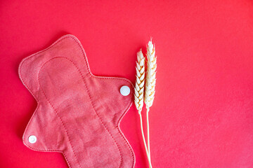 Natural cotton women daily sanitary pad © Дарья Шварц