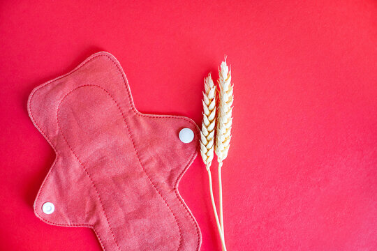 Natural cotton women daily sanitary pad