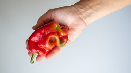 curved bell pepper in female hands