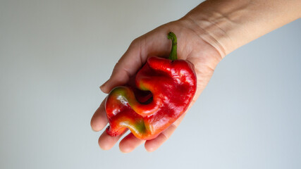 curved bell pepper in female hands