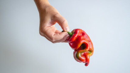 curved bell pepper in female hands
