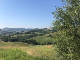 Fototapeta na wymiar The beautiful rolling hills of Parma, Northern Italy