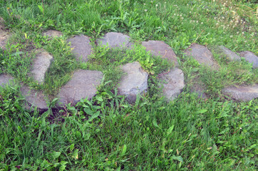 Stone steps in the green grass. Ladder in the forest.